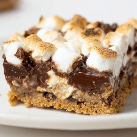 A close-up of gooey S'mores Bars shows a buttery graham cracker base and melted chocolate, served warm.